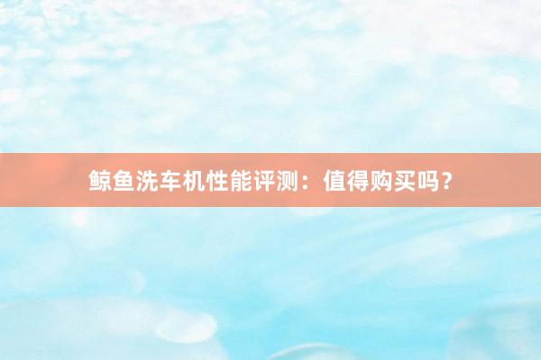 鲸鱼洗车机性能评测：值得购买吗？
